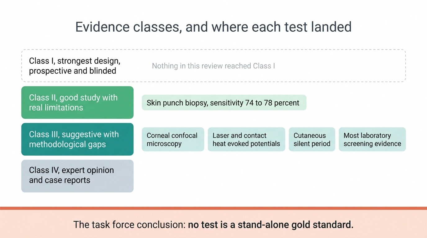 Landscape chart of evidence classes showing skin punch biopsy at Class II and four other tests at Class III