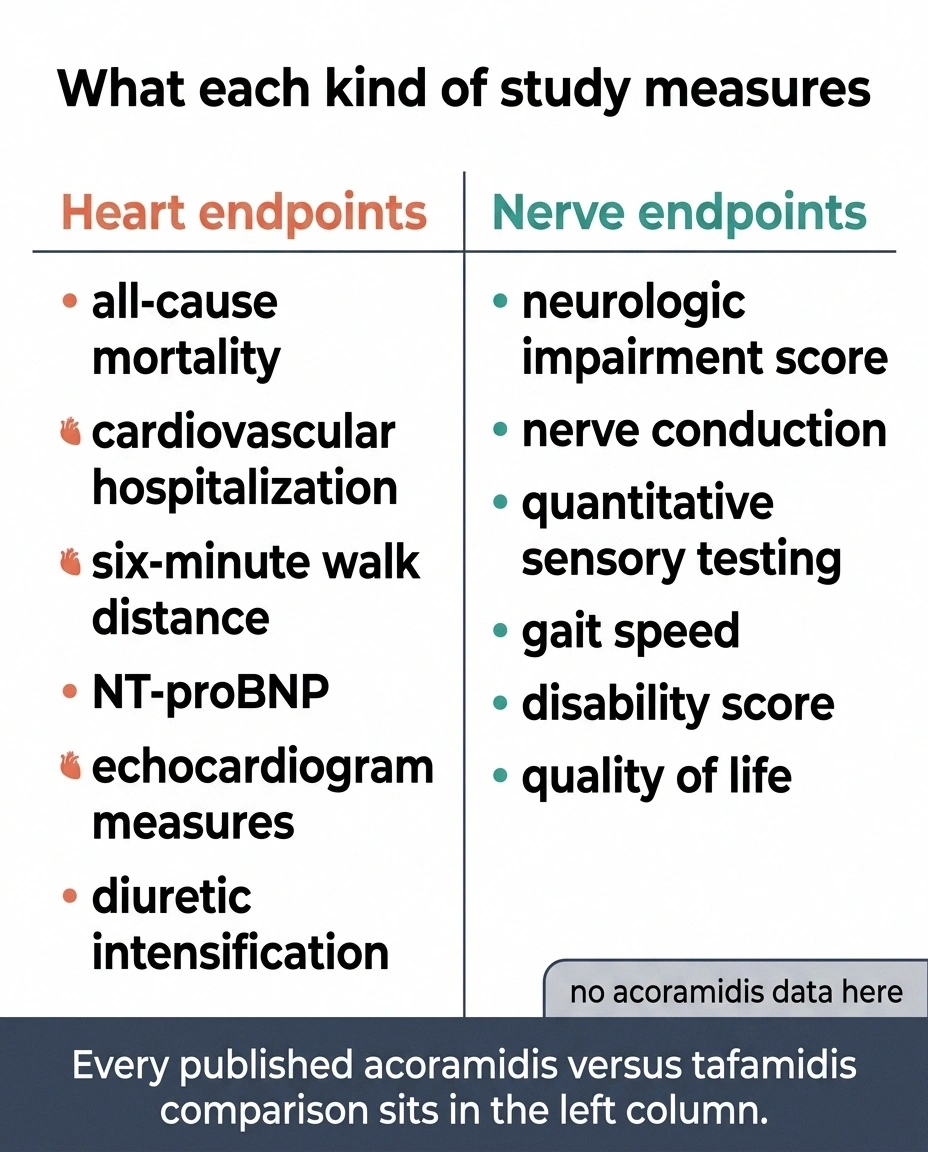 Two columns comparing heart study endpoints against nerve study endpoints