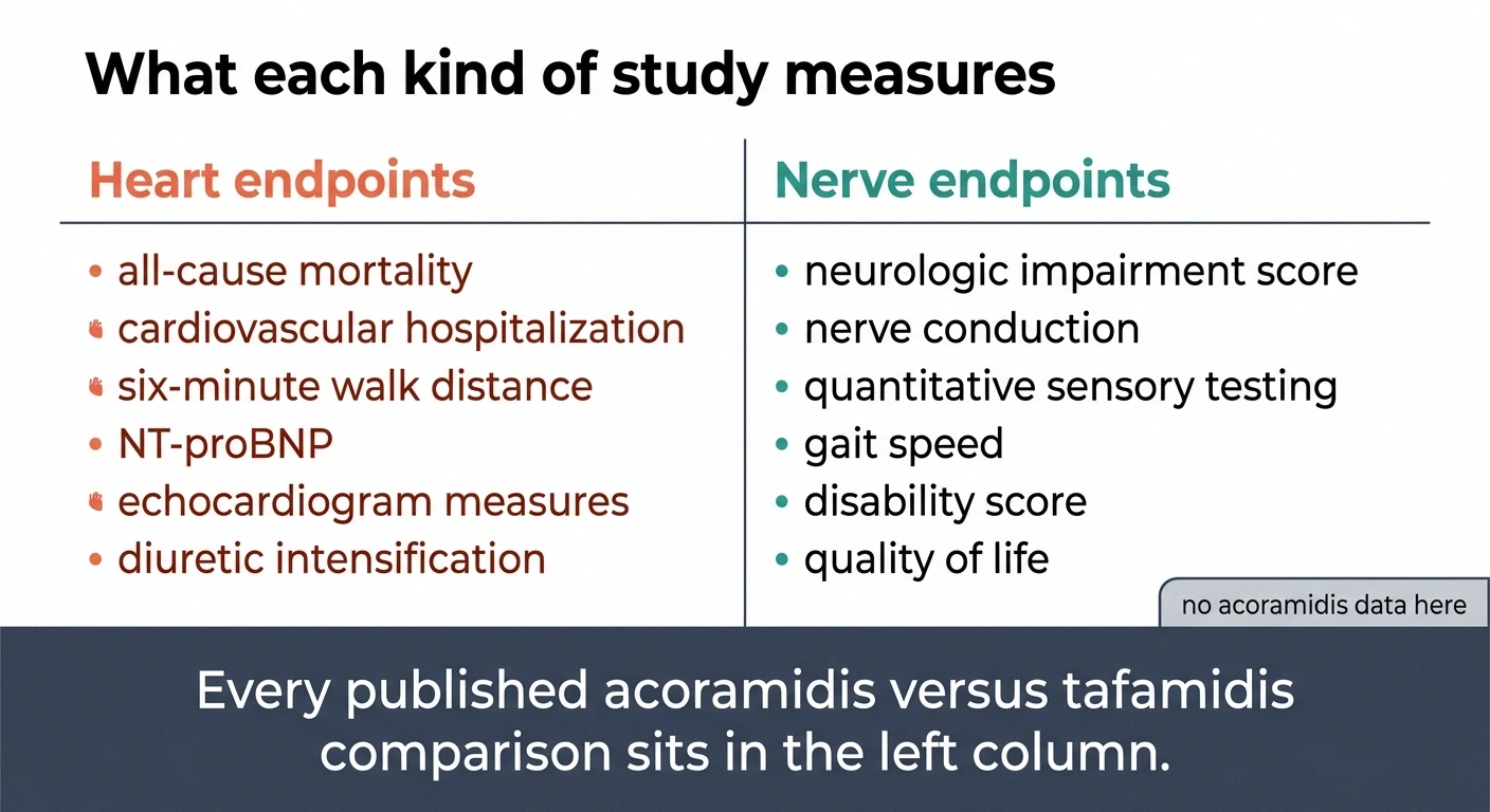 Two columns comparing heart study endpoints against nerve study endpoints