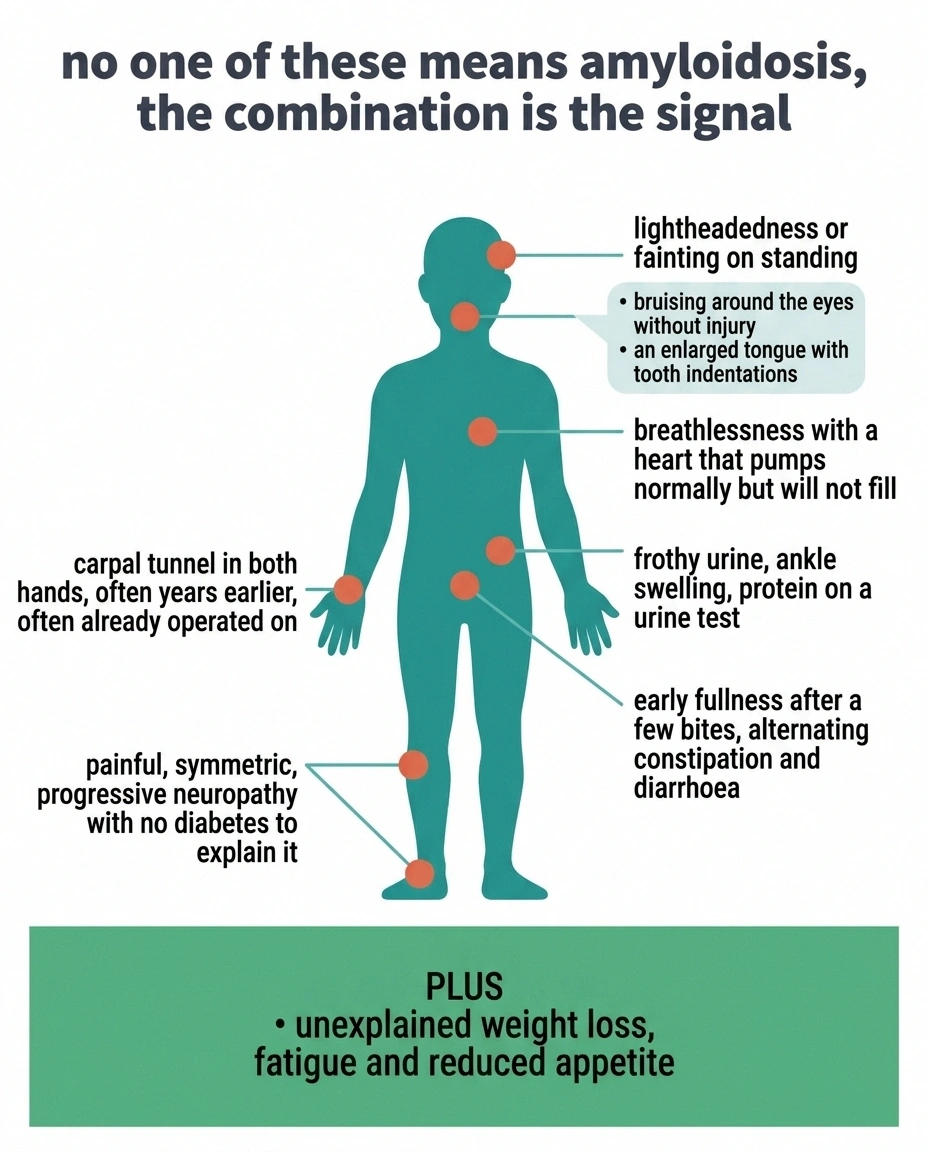 Body map marking carpal tunnel, foot pain, heart, kidney and autonomic clues to amyloidosis.
