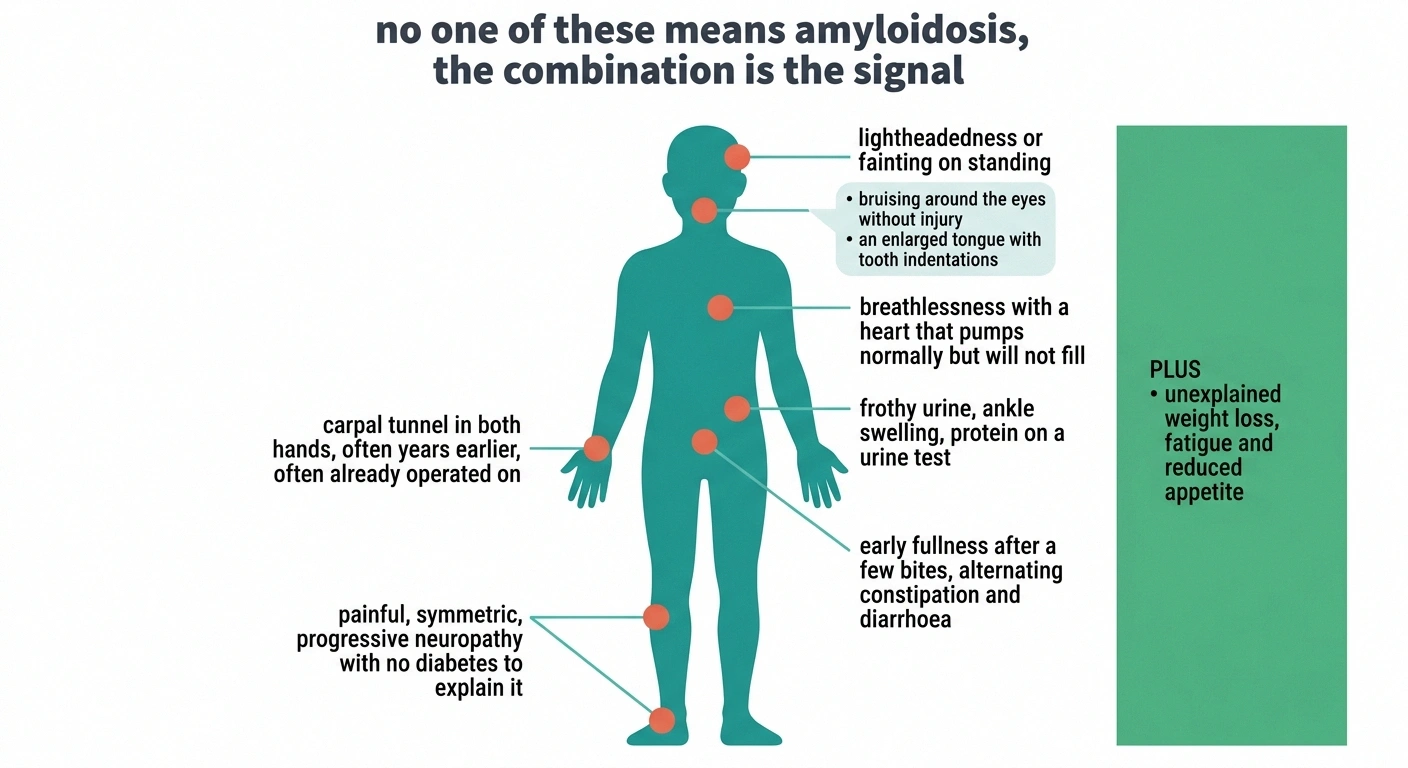 Body map marking carpal tunnel, foot pain, heart, kidney and autonomic clues to amyloidosis.