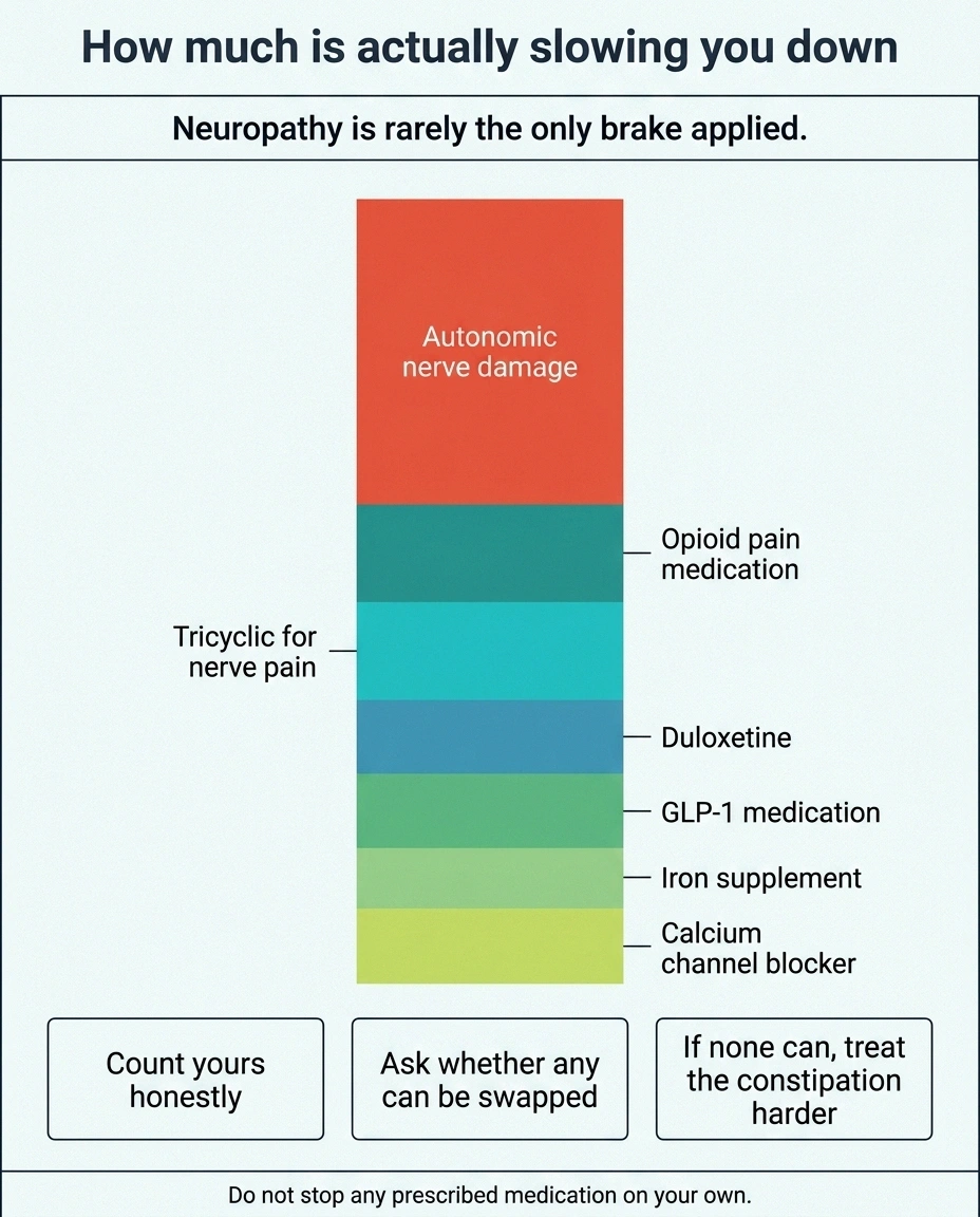 Stacked bar showing nerve damage plus several medications each slowing the gut