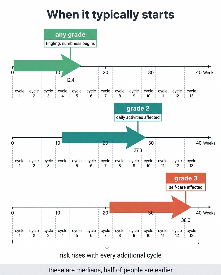 Timeline showing median onset of neuropathy grades at 12, 27 and 38 weeks.
