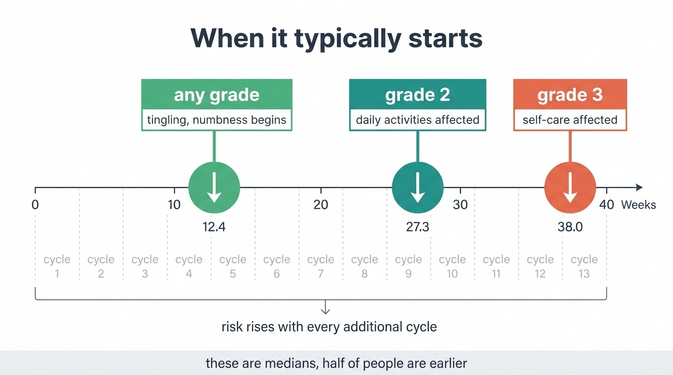 Timeline showing median onset of neuropathy grades at 12, 27 and 38 weeks.