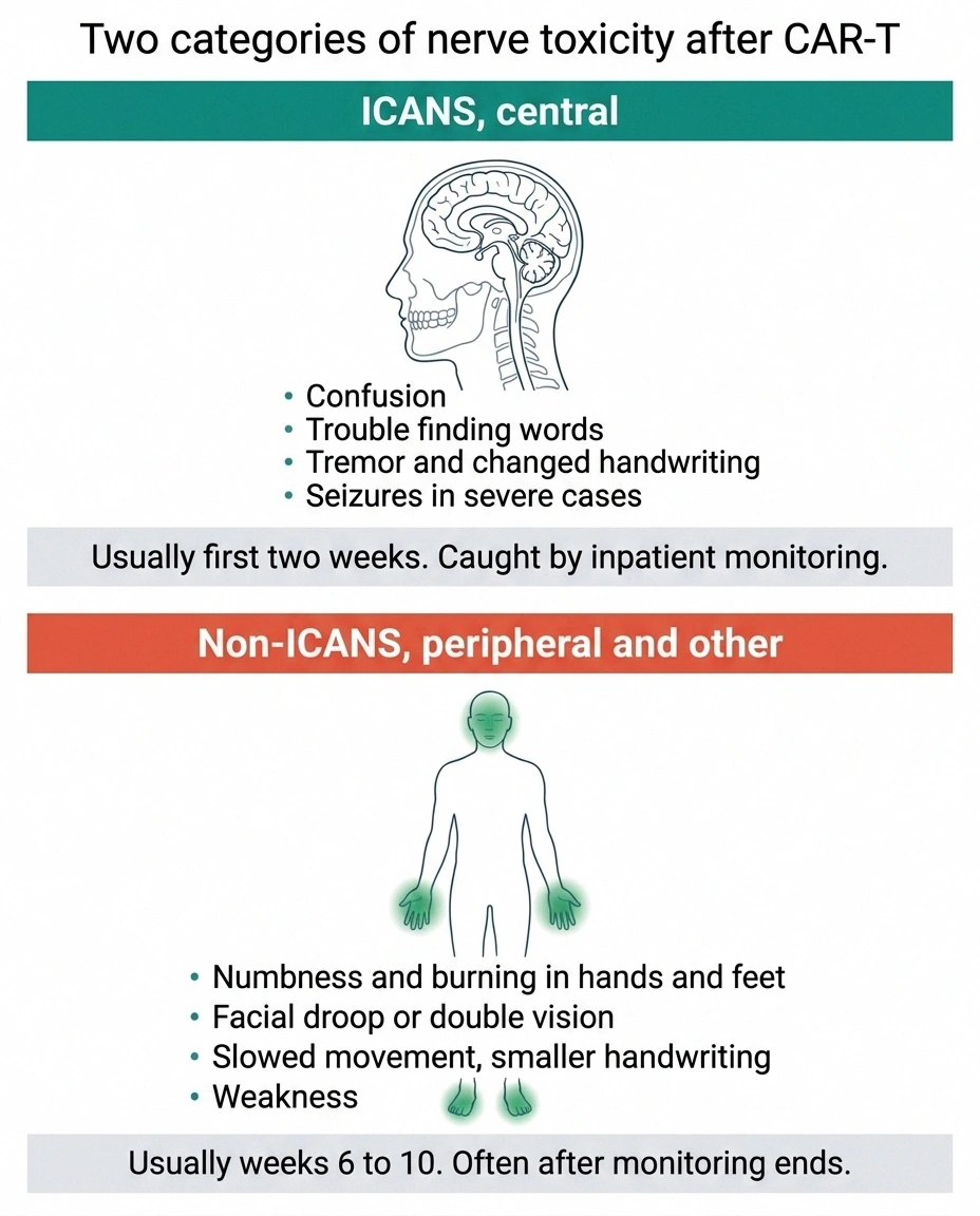 Split diagram comparing central ICANS symptoms with peripheral and cranial nerve symptoms after CAR-T