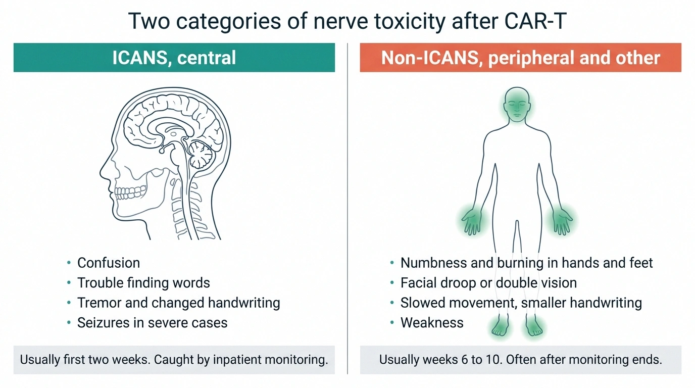 Split diagram comparing central ICANS symptoms with peripheral and cranial nerve symptoms after CAR-T