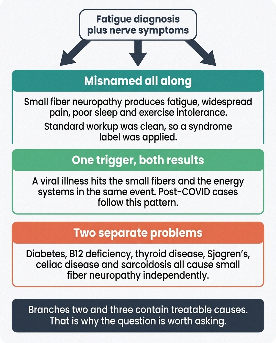Three-branch diagram showing possible relationships between fatigue diagnosis and nerve damage