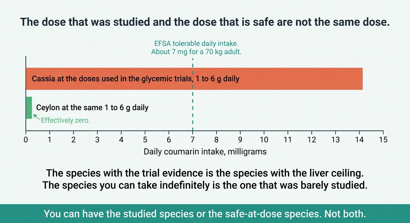 Bar chart showing cassia trial doses exceeding the coumarin safety limit while Ceylon does not