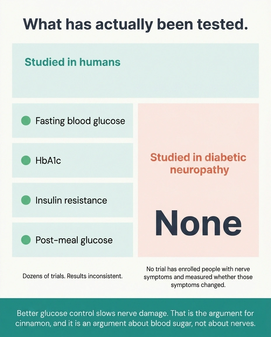 Comparison card showing many glucose trials against zero neuropathy trials for cinnamon