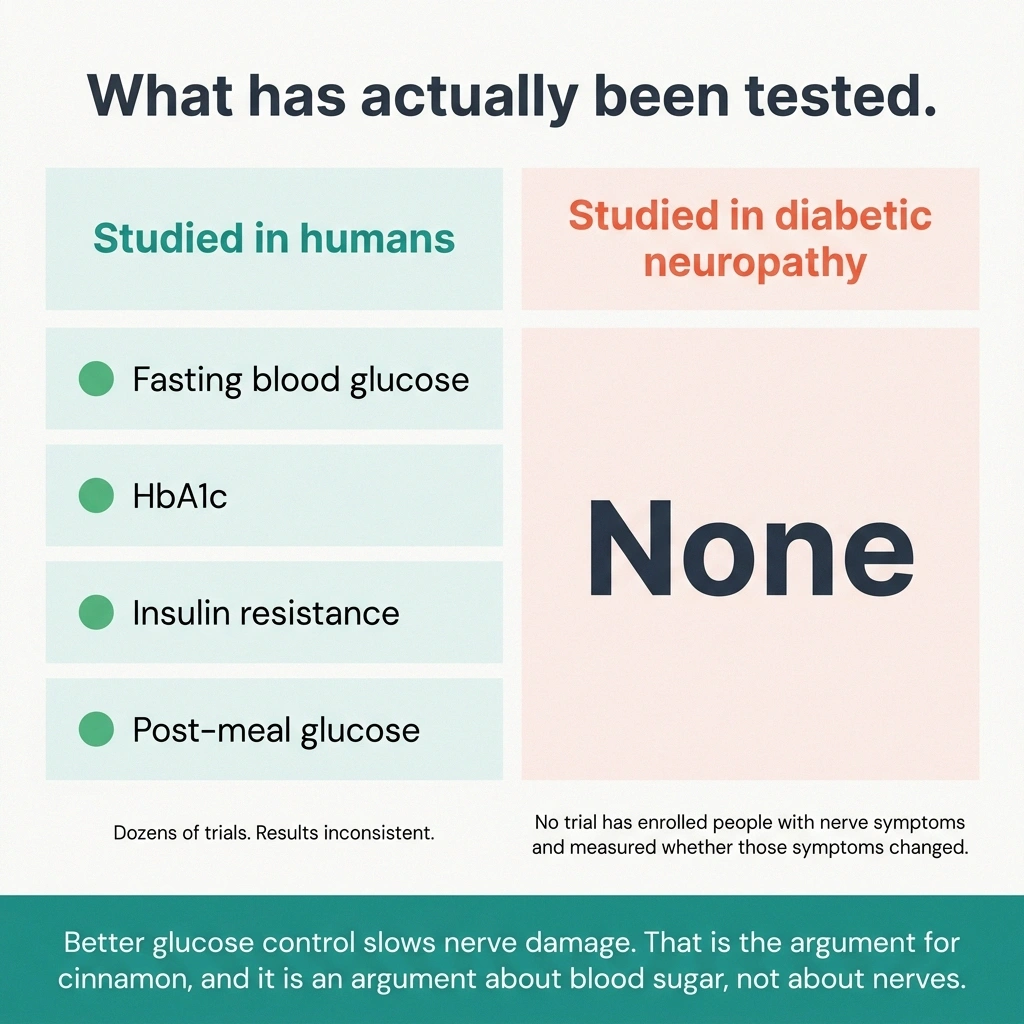 Comparison card showing many glucose trials against zero neuropathy trials for cinnamon
