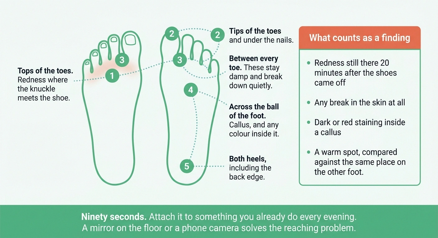 Diagram of a five-zone daily foot inspection route with findings checklist