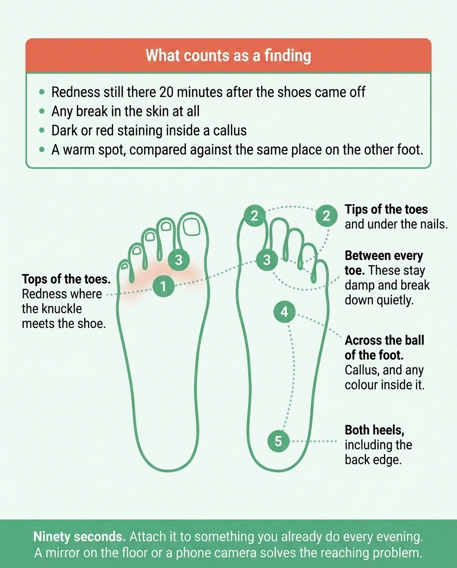 Diagram of a five-zone daily foot inspection route with findings checklist