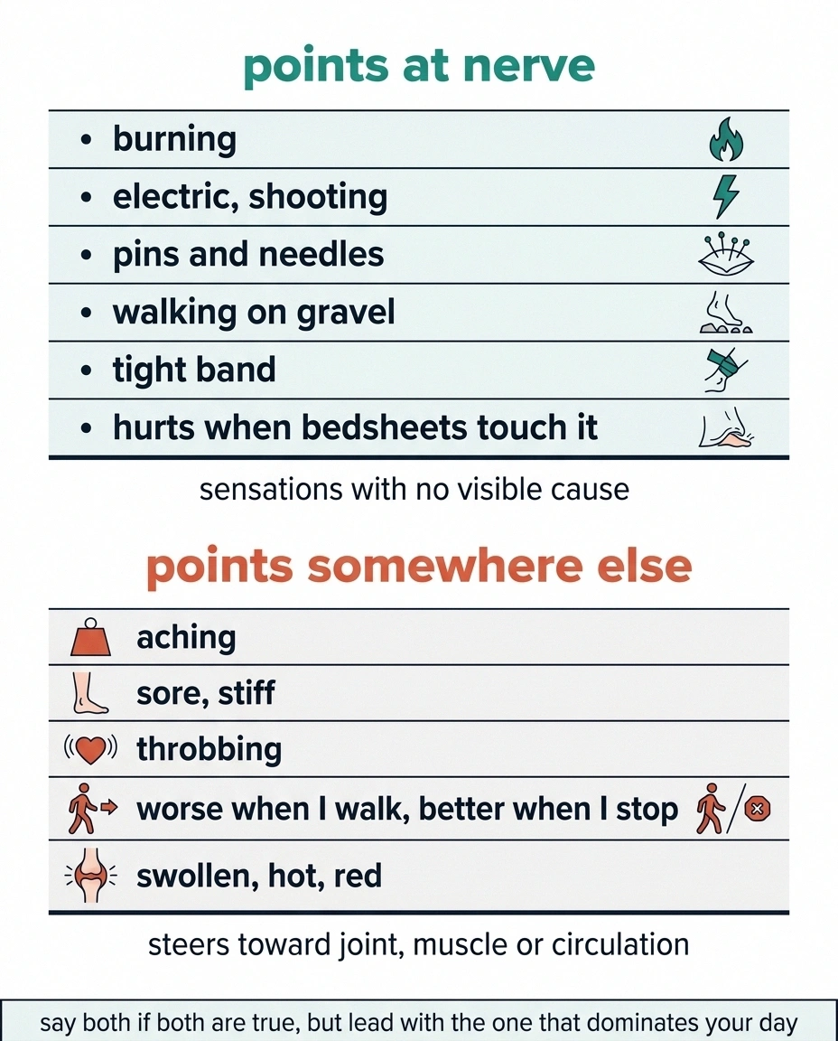 Two-column chart splitting nerve pain words from musculoskeletal words.