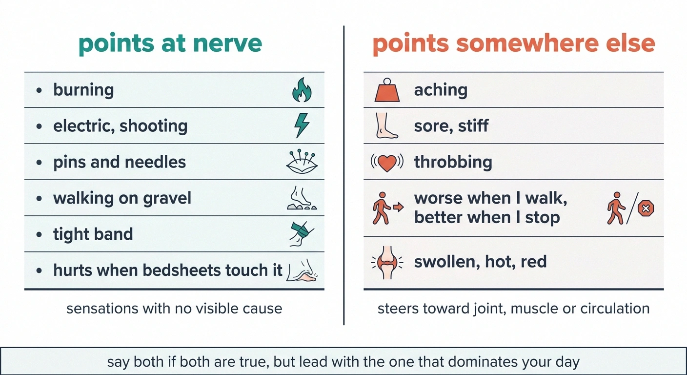 Two-column chart splitting nerve pain words from musculoskeletal words.