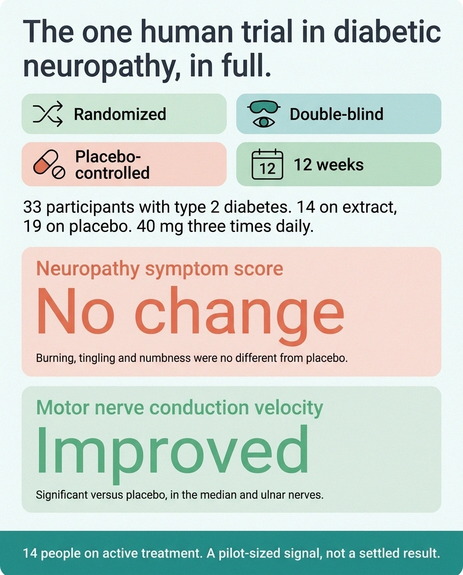 Scorecard showing a 12-week trial with no symptom change but improved nerve conduction