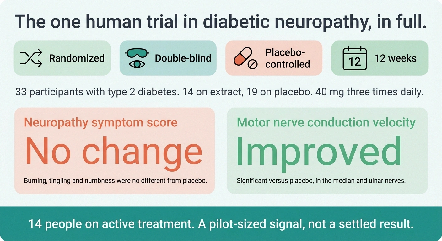 Scorecard showing a 12-week trial with no symptom change but improved nerve conduction