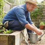 Man in his fifties crouched beside a raised vegetable bed inspecting seedlings.