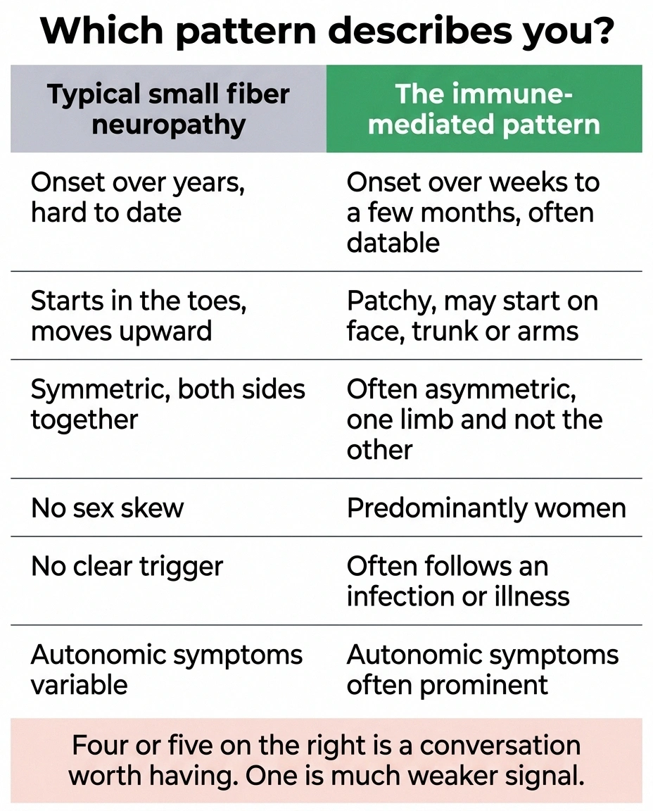 Two-column table comparing typical small fiber neuropathy with the immune-mediated pattern