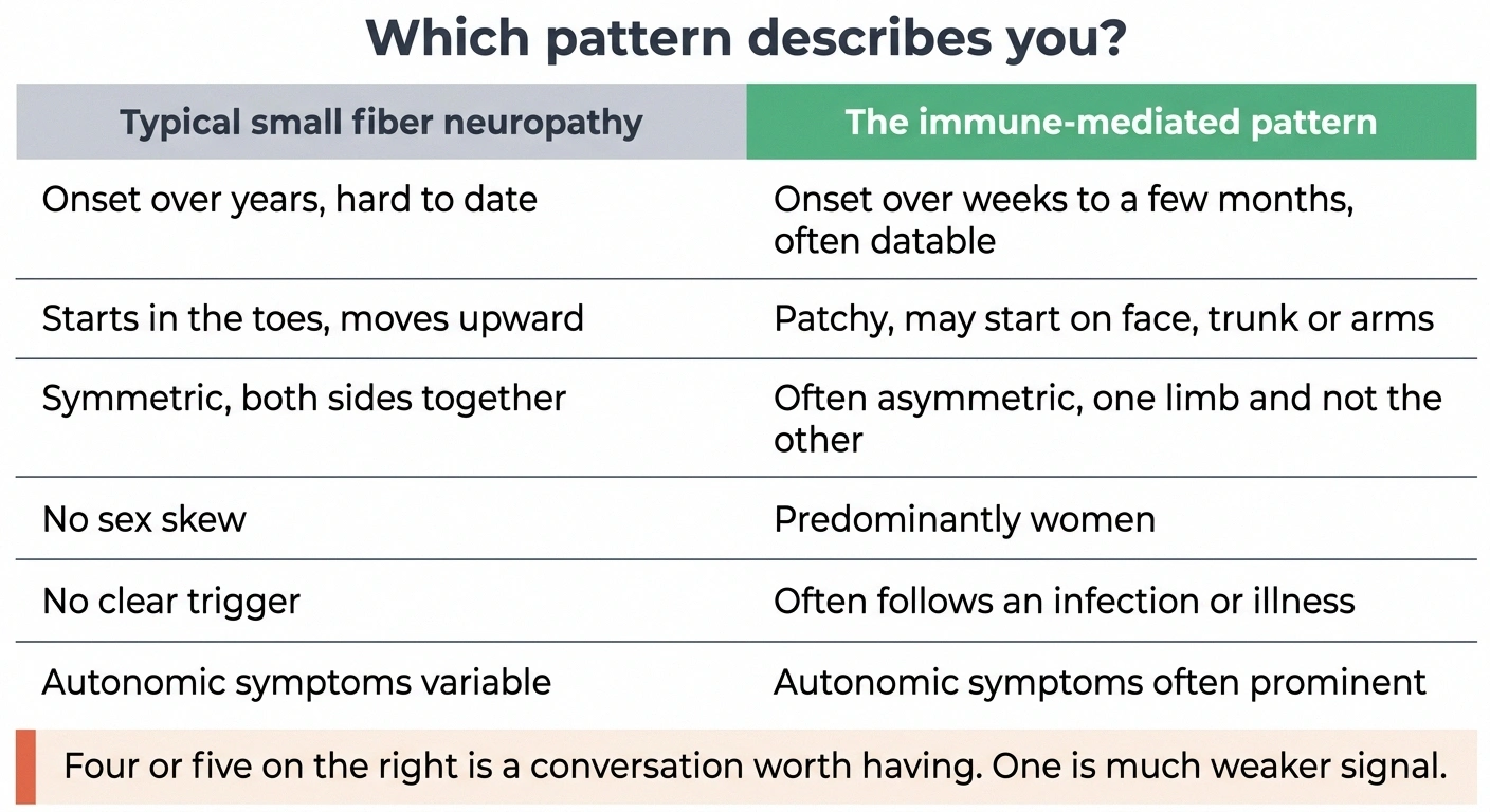 Two-column table comparing typical small fiber neuropathy with the immune-mediated pattern