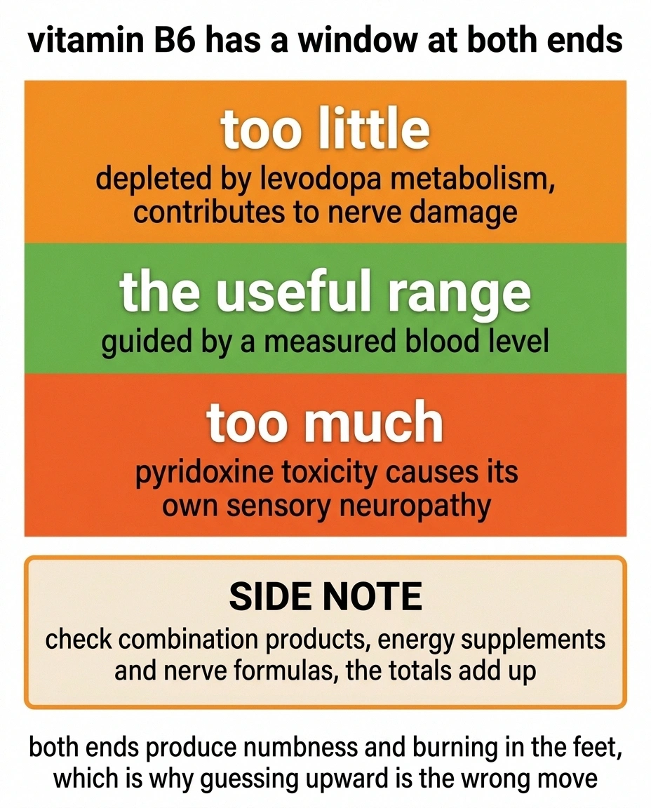 Band diagram showing both too little and too much vitamin B6 cause neuropathy.