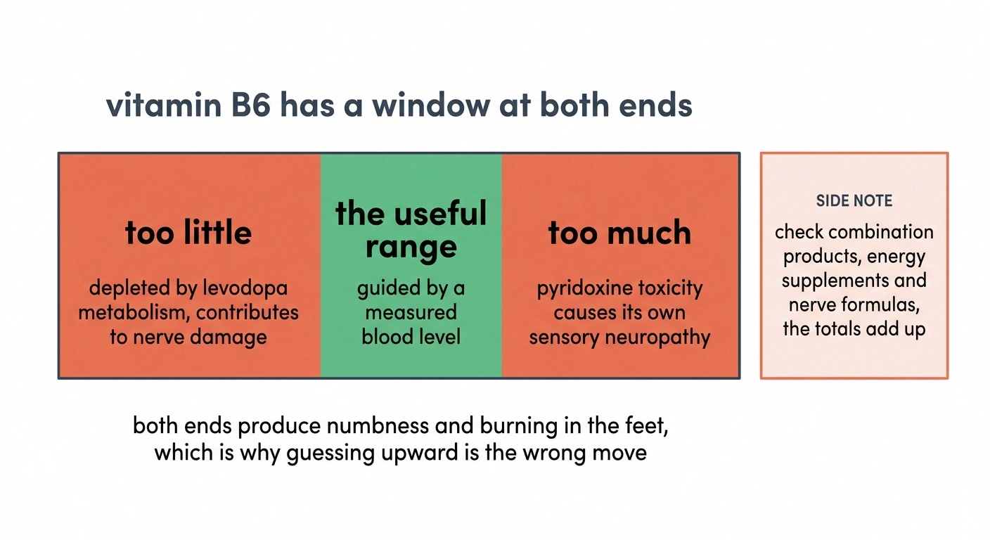Band diagram showing both too little and too much vitamin B6 cause neuropathy.