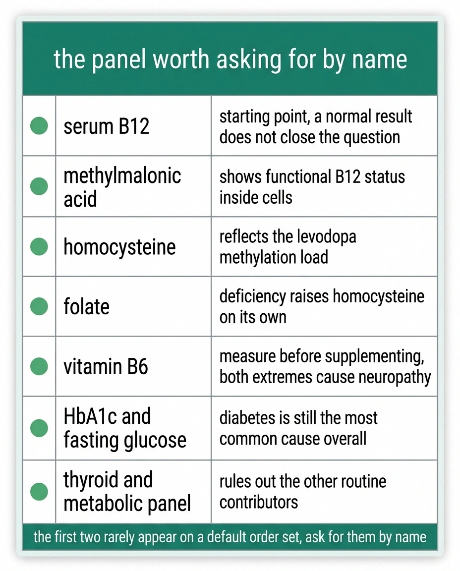 Reference card listing seven blood tests to request for levodopa-related neuropathy.