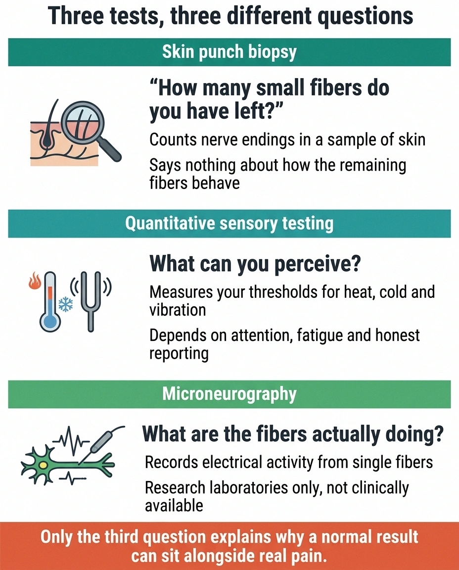 Three-column comparison of skin biopsy, sensory testing and microneurography