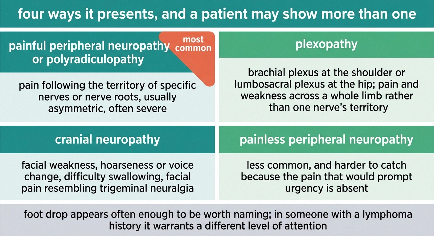 Four-quadrant grid showing the peripheral, plexus, cranial and painless presentations of neurolymphomatosis.