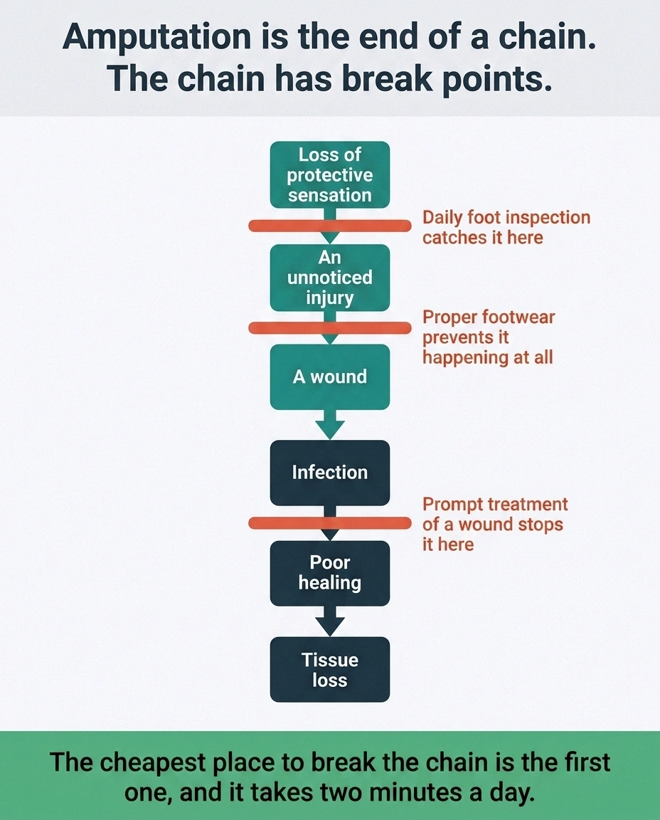 Chain diagram from sensation loss to tissue loss with three marked points where it can be broken
