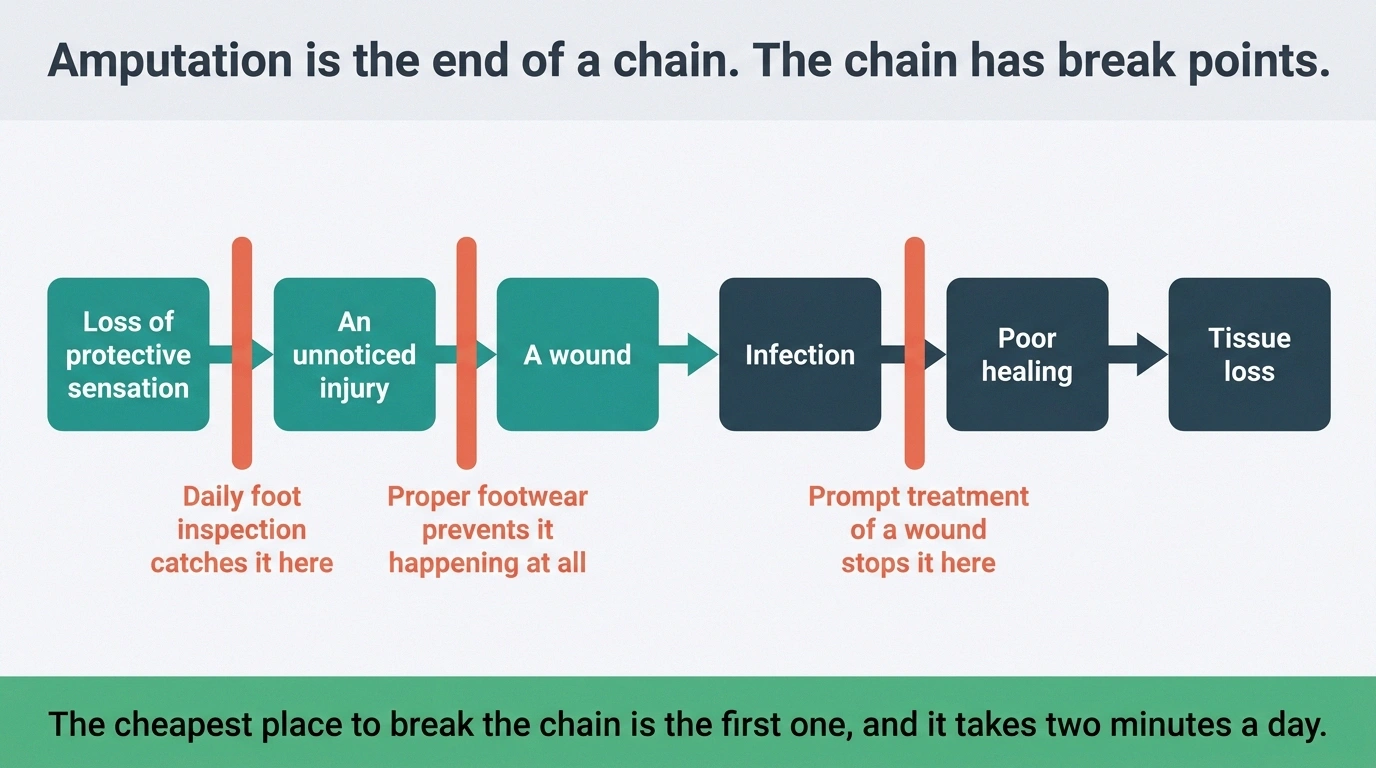 Chain diagram from sensation loss to tissue loss with three marked points where it can be broken