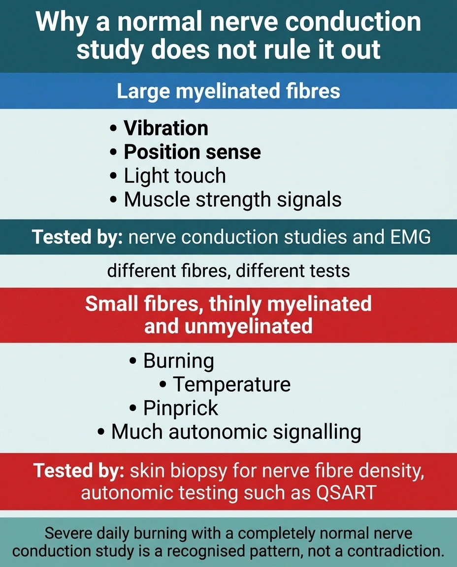 Diagram contrasting large fibre and small fibre symptoms and which test detects each