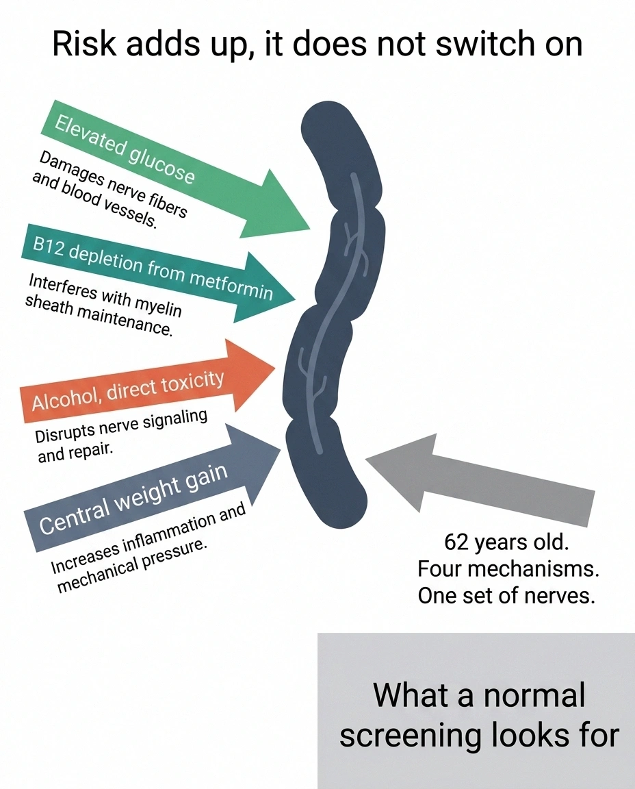 Four risk mechanisms converging on a single nerve fiber diagram