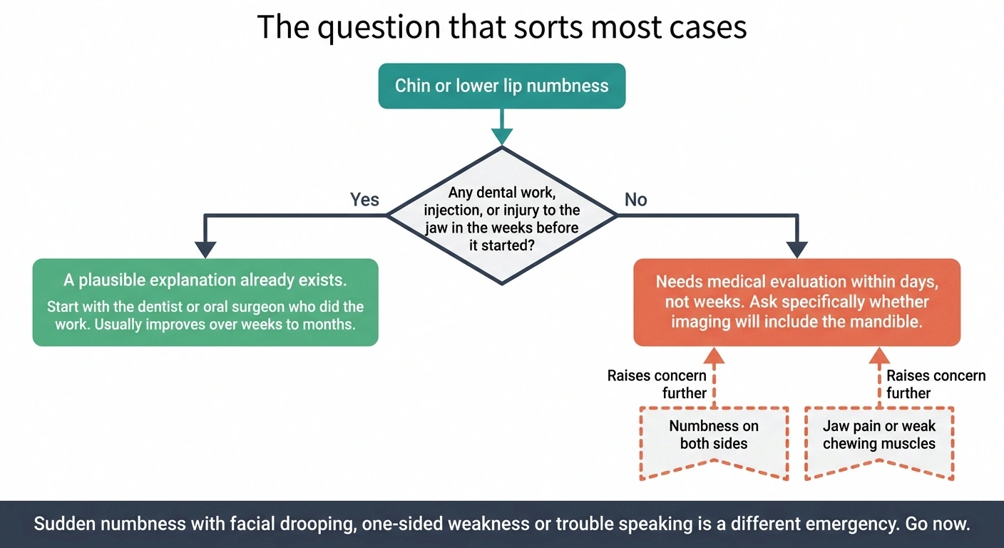 Decision tree branching on whether recent dental work explains new chin numbness
