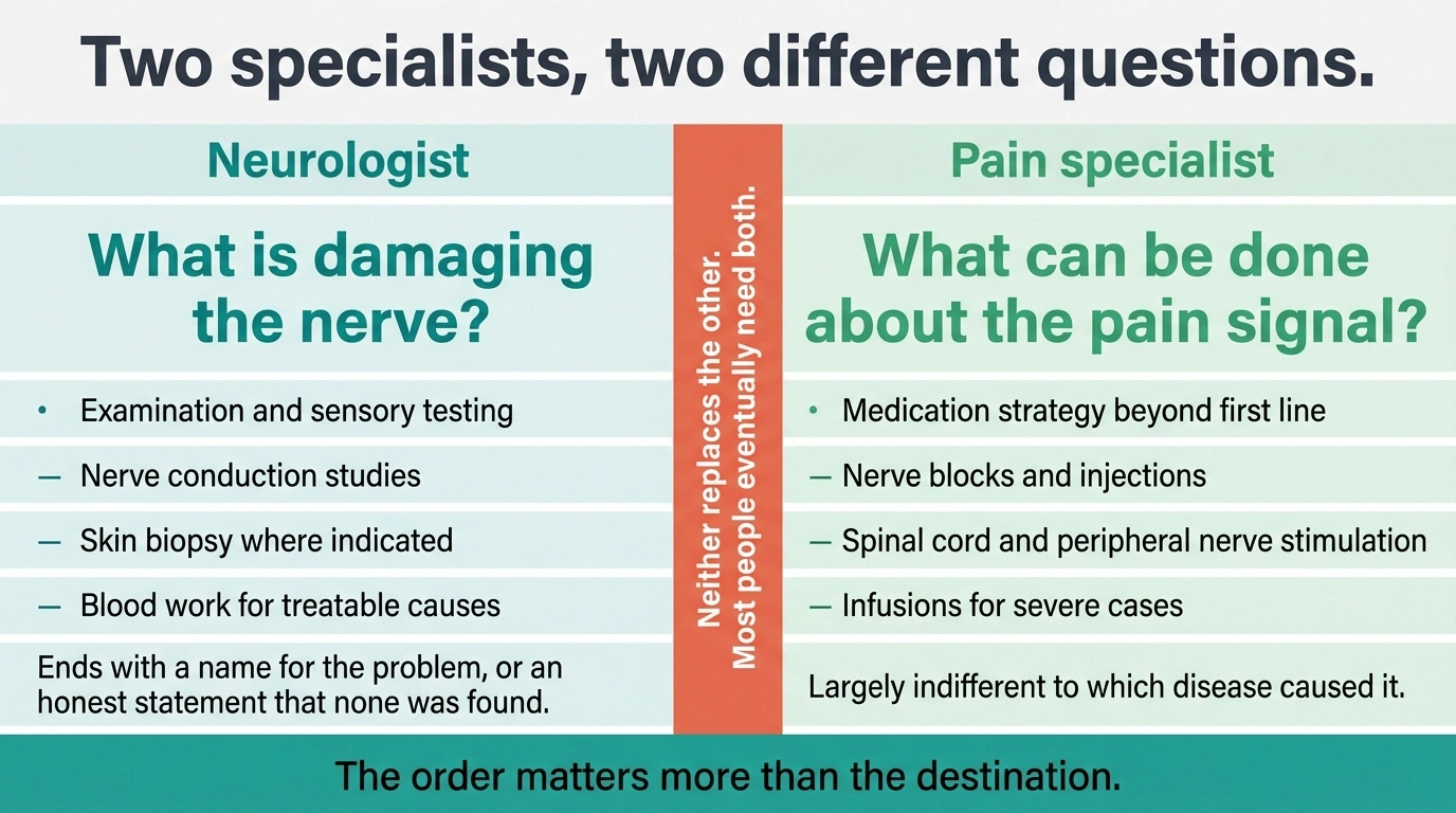 Two-column diagram contrasting what a neurologist answers with what a pain specialist answers