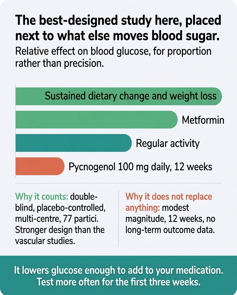 Bar comparison placing a supplement's glucose effect beside diet, metformin and activity