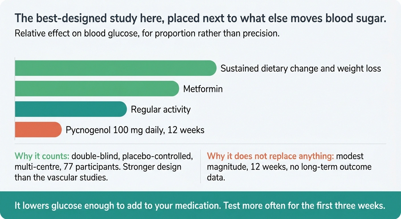 Bar comparison placing a supplement's glucose effect beside diet, metformin and activity