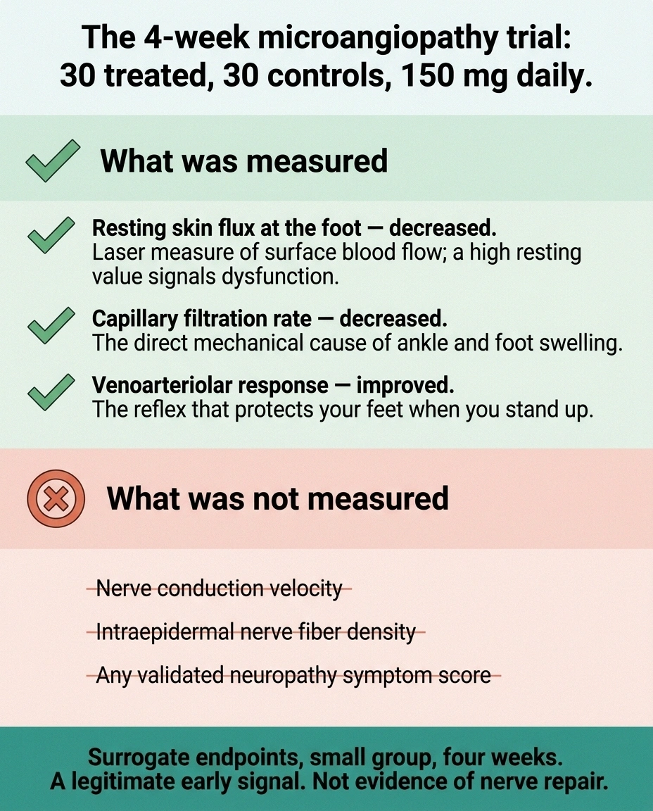Two-column card comparing the vascular outcomes measured with the nerve outcomes not measured