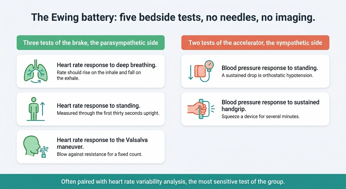 Panel showing five Ewing battery cardiovascular reflex tests grouped by nerve branch