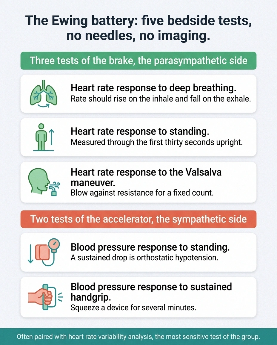 Panel showing five Ewing battery cardiovascular reflex tests grouped by nerve branch