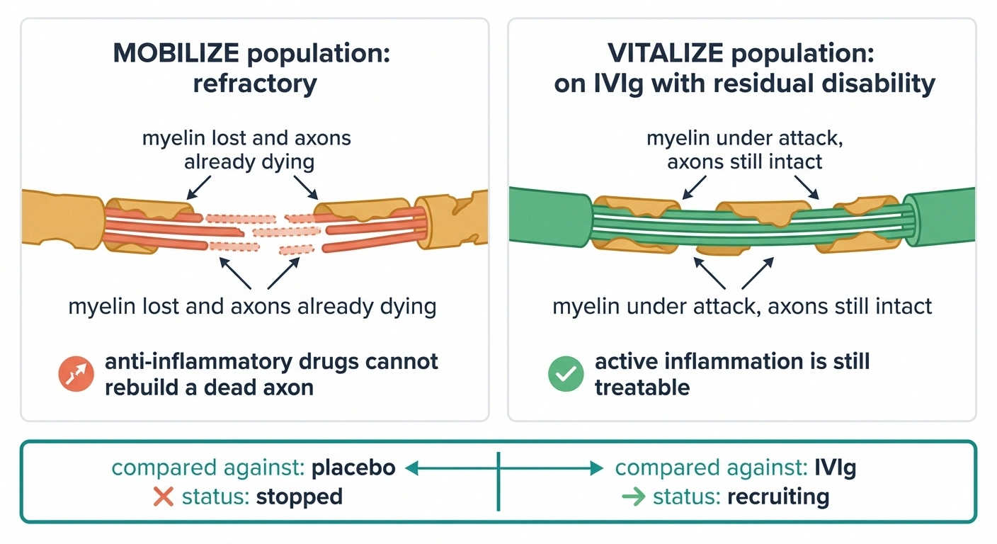 Nerve illustration comparing axon loss in refractory CIDP with active demyelination