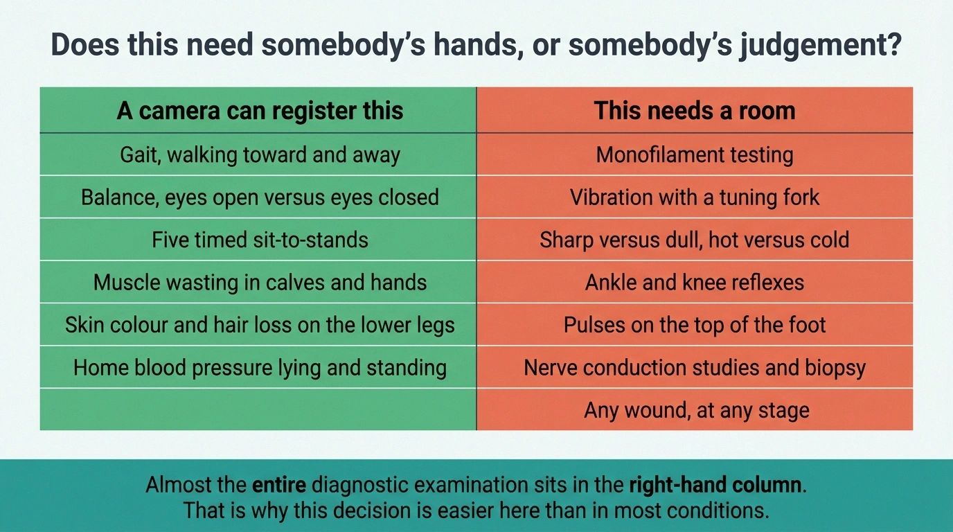 Two-column diagram splitting the neuropathy exam into camera-visible and hands-only