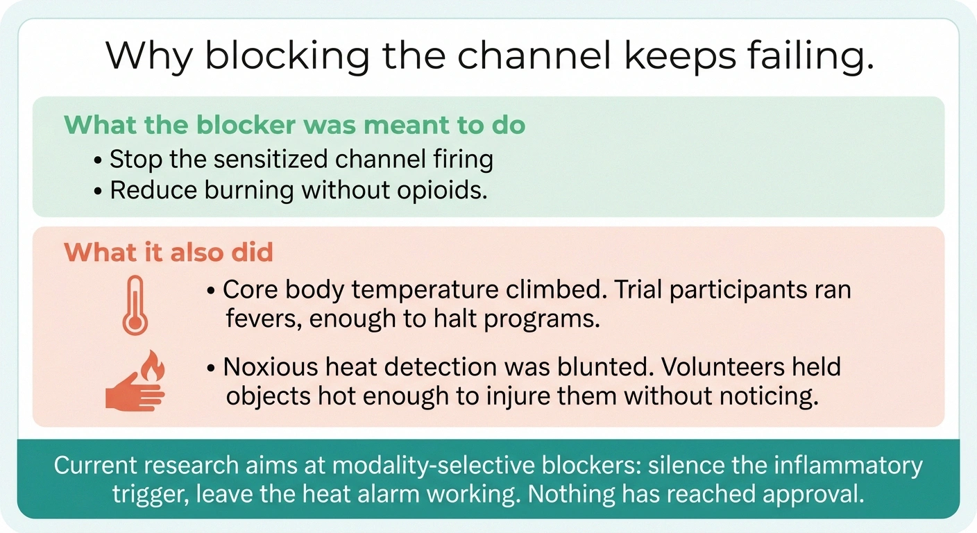 Card contrasting the intended benefit of TRPV1 blockers with fever and burn risk