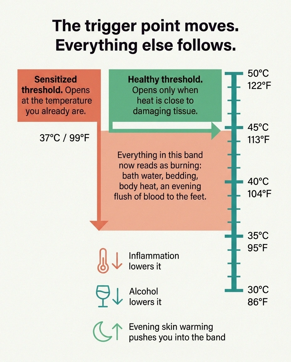 Temperature scale showing the healthy nerve trigger point at 43C dropping to body temperature