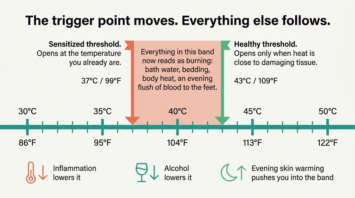 Temperature scale showing the healthy nerve trigger point at 43C dropping to body temperature