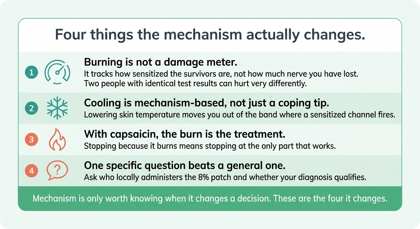 Closing card listing four practical takeaways about burning feet and capsaicin