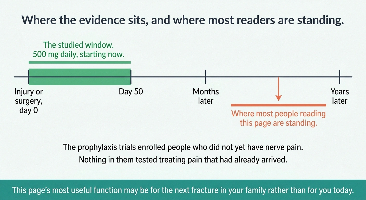 Timeline showing the fifty-day vitamin C study window against where most readers stand