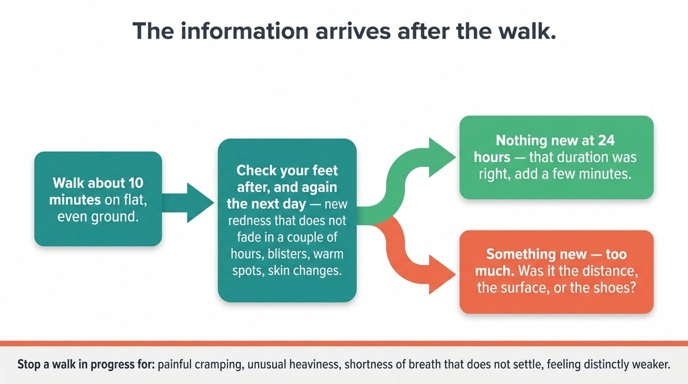Flow diagram showing the 24-hour foot check that decides whether to increase walking time