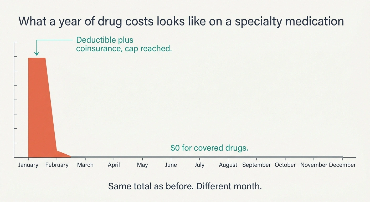 Area chart showing drug spending concentrated in January then flat at zero for the year